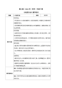 小学科学冀人版（2024）一年级下册（2024）关爱行动教案