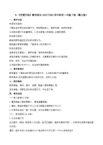 小学科学冀人版（2024）一年级下册（2024）关爱行动教案