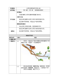 教科版五年级上册5、食物链和食物网教案设计