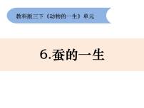 科学三年级下册6.蚕的一生说课课件ppt