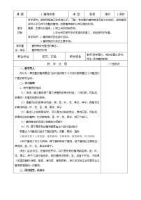 小学科学青岛版 (五四制2017)三年级上册1 植物的根公开课教案设计