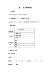 小学科学青岛版 (五四制2017)三年级下册13 种辣椒精练
