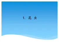 科学三年级上册1 昆虫教学演示ppt课件