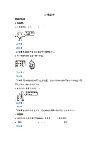 科学一年级上册3.观察叶一课一练