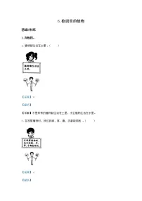 小学科学6.校园里的植物课后作业题