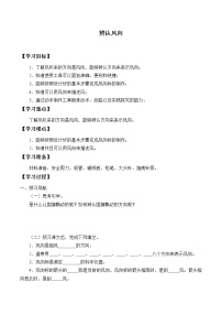 小学科学大象版 (2017)三年级上册2 辨认风向学案