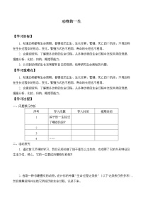 大象版 (2017)三年级上册第二单元 动物的特征4 动物的一生导学案及答案