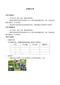 小学科学大象版 (2017)三年级上册3 动物的分类导学案
