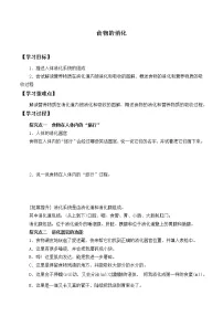 人教鄂教版 (2017)三年级上册第一单元 食物与消化3 食物的消化导学案