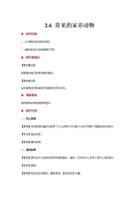 一年级上册6 常见的家养动物精品教学设计