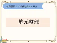 教科版 (2017)四年级上册呼吸与消化综合与测试多媒体教学课件ppt