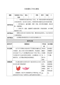 小学教科版 (2017)水8.它们发生了什么变化教学设计