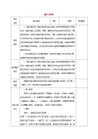 青岛版 (六三制)五年级下册4. 脑与神经教学设计