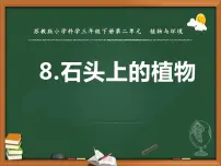 小学科学苏教版 (2017)三年级下册8 石头上的植物多媒体教学课件ppt