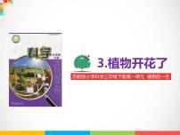 小学科学苏教版 (2017)三年级下册3 植物开花了示范课课件ppt