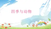 小学科学大象版 (2017)二年级下册2 四季与动物示范课课件ppt