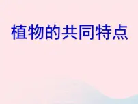 小学教科版2、哪种材料硬示范课ppt课件