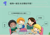 小学科学苏教版 (2017)三年级下册8 石头上的植物图片ppt课件