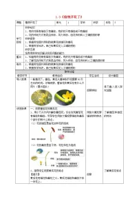 小学3 植物开花了教案