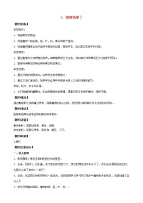 小学科学苏教版 (2017)三年级下册4 植物结果了教案设计