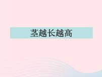 科学三年级下册5.茎越长越高教课内容ppt课件