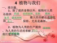 苏教版三年级下册4.植物和我们图文课件ppt