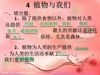 苏教版三年级下册4.植物和我们图文课件ppt