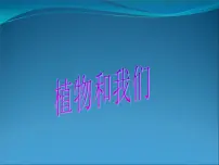 小学科学苏教版三年级下册4.植物和我们图文课件ppt