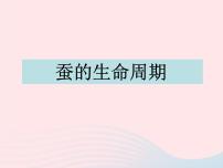 小学科学教科版三年级下册5.蚕的生命周期课文内容课件ppt