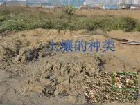 小学科学湘教版三年级上册2 土壤的种类教案配套ppt课件