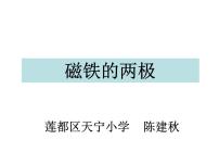 小学科学教科版 (2017)二年级下册3.磁铁的两极课堂教学课件ppt