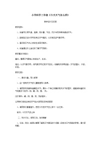 苏教版 (2017)二年级上册1 今天天气怎么样教学设计