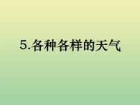 小学科学我们的地球家园5.各种各样的天气教课内容课件ppt