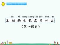 科学二年级下册第二单元 植物的生长3 植物生长需要什么精品课件ppt
