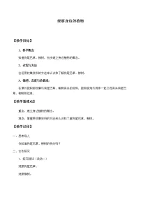 湘科版 (2017)一年级下册第四单元 各种各样的植物2 观察身边的植物教案