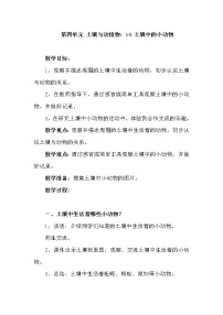 青岛版 (六三制2017)一年级下册14 土壤中的小动物教学设计