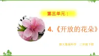 大象版 (2017)三年级下册4 开放的花朵优秀课件ppt