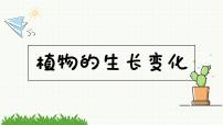 小学科学教科版 四年级下册种子里孕育着新生命优秀ppt课件