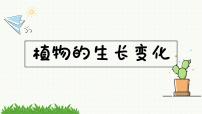 科学四年级下册6.果实和种子优秀课件ppt