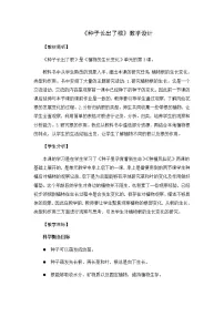 小学科学教科版 (2017)四年级下册3.种子长出了根教案