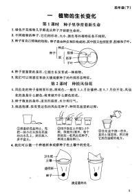 教科版四年级下册科学知识点素材 - 全册知识点整理  （PDF版）