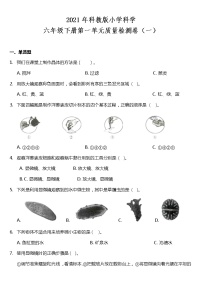 小学科学教科版六年级下册第一单元 微小世界综合与测试巩固练习