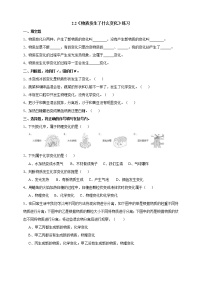 科学六年级下册2、物质发生了什么变化达标测试