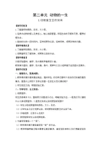 小学科学教科版 (2017)三年级下册1.迎接蚕宝宝的到来教案设计