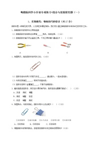 新粤教版科学小升初专项练习•实验探究题