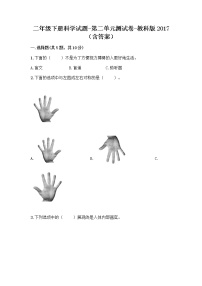 教科版 (2017)二年级下册我们自己综合与测试综合训练题