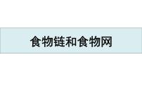 小学科学教科版 (2017)五年级下册6.食物链和食物网教学演示ppt课件