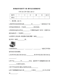 教科版(2017秋)四年级科学下册 期中综合素质测评卷(含答案)