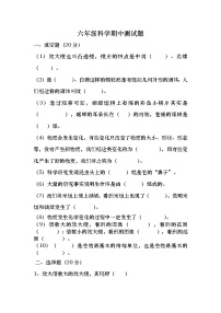 教科版科学下册六年级期中测试卷 (2)无答案