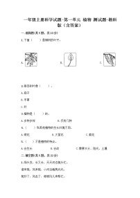 小学科学植物综合与测试同步测试题